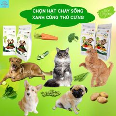 Thức Ăn Chay Cho Chó Ginseng Dog 86 túi 800g - Hạt Cho Chó WinDog Từ Rau Củ Quả - Thức Ăn Cho Chó Dinh Dưỡng Từ Thực Vật