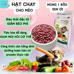 Thức Ăn Chay Cho Mèo Ginseng Cat 88 Túi 600g - Hạt Cho Mèo Wincat - Thức Ăn Cho Mèo Giảm Cân - Hạt Rau Củ Cho Mèo