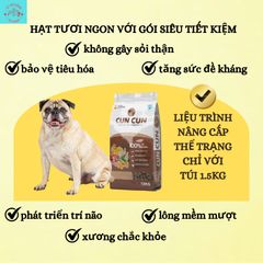 [DÙNG·THỬ] QÙA TẶNG KHUYẾN MÃI Cho Chó Mèo - Thịt Sấy Cho Mèo - Đồ Ăn Cho Chó Mèo - Topping mix Hạt Cho Mèo