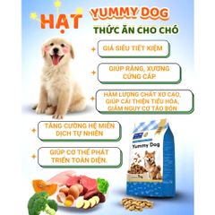 Hạt Cho Chó - Thức Ăn Cho Chó Hạt Yummy - Hạt Cho chó từ 3 tháng tuổi sản xuất tại Việt Nam túi 1kg