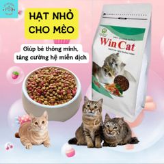 Hạt Cho Mèo Wincat - Thức Ăn Cho Mèo Kén Ăn - Hạt Nhỏ Cho Mọi Giống Mèo Túi 800g