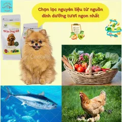 Hạt Cho Chó - Thức Ăn Dinh Dưỡng Cho Chó Trưởng Thành Windog túi 800g - Hạt Cho Chó Kén Ăn - Thức Ăn Cho Mọi Giống Chó