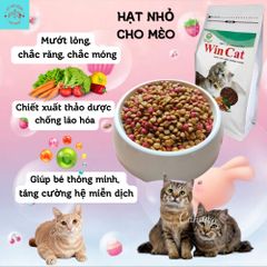 Hạt Cho Mèo Wincat - Thức Ăn Cho Mèo Kén Ăn - Hạt Nhỏ Cho Mọi Giống Mèo Túi 800g