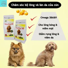 Hạt Cho Chó - Thức Ăn Dinh Dưỡng Cho Chó Trưởng Thành Windog túi 800g - Hạt Cho Chó Kén Ăn - Thức Ăn Cho Mọi Giống Chó
