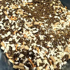 [Túi 5KG] Hạt Cho Mèo Langlike - Thức Ăn Cho Mèo Đạm 40% - Hạt Cho Mèo mix topping không trứng