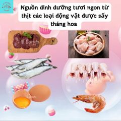 Thịt Sấy Khô Cho Chó Mèo Lishi - Đồ Ăn Vặt Thú Cưng - Thức Ăn Cho Mèo - Thịt Sấy Đủ Loại Cho Chó Mèo