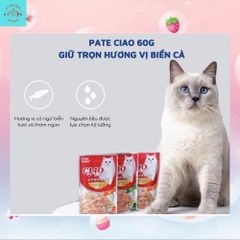 Pate Mèo Ciao - Thức Ăn Ướt Cho Mèo Mọi Lứa Tuổi Gói 60G