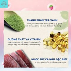 Pate Mèo Ciao - Thức Ăn Ướt Cho Mèo Mọi Lứa Tuổi Gói 60G
