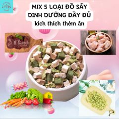 Thịt Sấy Khô Cho Chó Mèo Lishi - Đồ Ăn Vặt Thú Cưng - Thức Ăn Cho Mèo - Thịt Sấy Đủ Loại Cho Chó Mèo