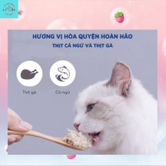 Pate Mèo Ciao - Thức Ăn Ướt Cho Mèo Mọi Lứa Tuổi Gói 60G