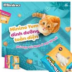 Thức Ăn Hạt Minino Cho Mèo Từ 3 Tháng Tuổi 3 Vị: Cá Hồi 350g - Hải Sản 350g - Cá Ngừ 480g