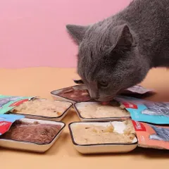 Pate Mèo WanPy - Thức Ăn Ướt Cho Mèo Gói 80G