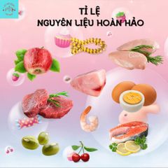 Hạt Mèo Captain Ben-Thức Ăn Hạt Captain Cho Mèo Bổ Sung 5 Loại Đông Khô Thủy Phân Tăng Nọng Vỗ Béo Cho Mèo