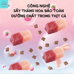 Hạt Mèo Captain Ben-Thức Ăn Hạt Captain Cho Mèo Bổ Sung 5 Loại Đông Khô Thủy Phân Tăng Nọng Vỗ Béo Cho Mèo