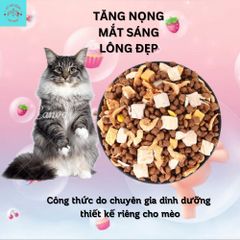 Hạt Mèo Captain Ben-Thức Ăn Hạt Captain Cho Mèo Bổ Sung 5 Loại Đông Khô Thủy Phân Tăng Nọng Vỗ Béo Cho Mèo