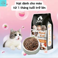 Thức Ăn Cho Mèo - Hạt Yumi Cho Mèo - Hạt Cho Mèo Từ 1 Tháng Tuổi Thơm Ngon Bổ Dưỡng