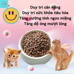 Thức Ăn Cho Mèo - Hạt Yumi Cho Mèo - Hạt Cho Mèo Từ 1 Tháng Tuổi Thơm Ngon Bổ Dưỡng