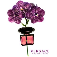 (Auth 100%) Nước Hoa Nữ Versace Crystal Noir Eau De Toilette 10ml