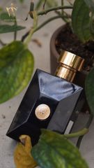 (Auth 100%) Nước Hoa Nam Versace Pour Homme Dylan Blue Eau De