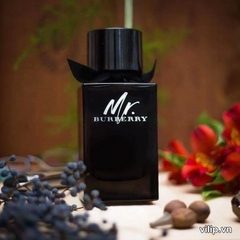 (Chính hãng) Nước Hoa Nam Burberry Mr. Burberry EDP 10ml Mạnh Mẽ
