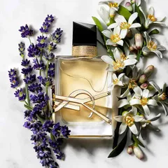(Chính hãng) Nước Hoa Nữ Yves Saint Laurent YSL Libre L'Absolu