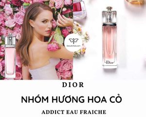 (Auth 100%) Set 4 Chai Nước Hoa Mini Dior - Gồm Miss Dior, Dior
