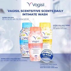 [Che Tên] DDVSPN VAGISIL,nước rửa phụ khoa,ddvs,khử mùi,chăm sóc vùng kín ngăn ngừa hiệu quả 350ml&240ml