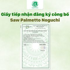 Viên Uống Saw Palmetto Noguchi 60 Viên