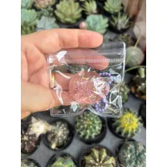 Đồ chơi nhựa Squishy Bánh bao mochi mềm dẻo kim tuyến