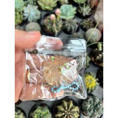 Đồ chơi nhựa Squishy Bánh bao mochi mềm dẻo kim tuyến