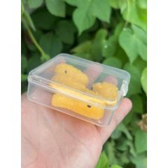 01 Hộp Squishy đùi gà, cánh gà (rang tỏi) mềm dẻo