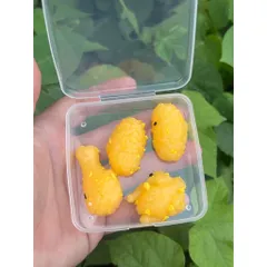 01 Hộp Squishy đùi gà, cánh gà (rang tỏi) mềm dẻo