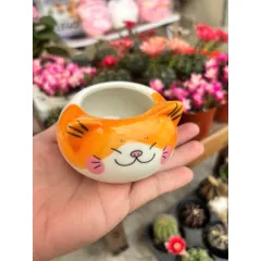 Chậu sen đá hình mèo size 8cm
