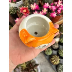 Chậu sen đá hình mèo size 8cm