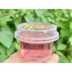 [Đại sỉ] 01 Khay 24 hộp slim trong suốt màu pastel mới hót 2026