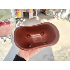 01 Cái nhà tắm bồn tắm chuột hamster
