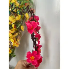 5 Nhánh mai, đào vải và nhựa trang trí Lễ Tết