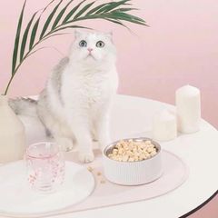 [Đại sỉ] Gà viên sấy khô cho thú cưng