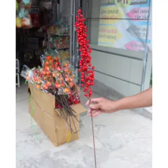 Đào đông, cành lựu đỏ trưng Trang trí Tết