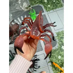 Đồ chơi nhựa hình côn trùng size lớn