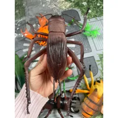 Đồ chơi nhựa hình côn trùng size lớn