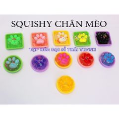 01 Cái Squishy chân mèo nhỏ mềm dẻo