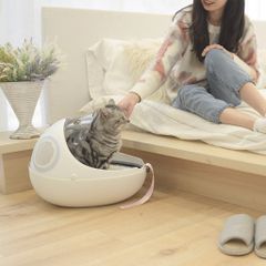 Balo bọ rùa cho chó mèo