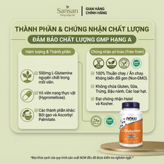 Viên uống NOW L-Glutamine 500mg 120 viên – Hỗ trợ chức năng miễn dịch, vận chuyển nitơ, bổ sung axit amin