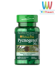 Chống oxy hóa từ nhựa cây thông đỏ Puritan’s Pride Pycnogenol 30 mg 60 viên