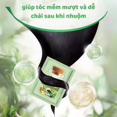 Dầu Gội Nhuộm Tóc Thảo Mộc Hộp 10 Gói , Dầu Gội Phủ Bạc Nhuộm Tóc Đen, Nâu Nuôi Dưỡng Tóc Óng Mượt