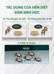 Viên diệt gián sinh học AMB, Viện Hàn lâm khoa học Việt Nam, diệt tận gốc tất cả các loại gián an toàn hiệu quả