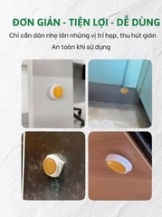 Viên diệt gián sinh học AMB, Viện Hàn lâm khoa học Việt Nam, diệt tận gốc tất cả các loại gián an toàn hiệu quả