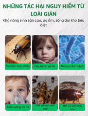 Viên diệt gián sinh học AMB, Viện Hàn lâm khoa học Việt Nam, diệt tận gốc tất cả các loại gián an toàn hiệu quả