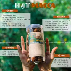 Hạt Macca Size Trung 500g CAOFOOD - Hạt Nguyên Vỏ Ngon, Béo Bùi - Thực Phẩm Lành Mạnh Cho Gia Đình, Không Đường, Không Chất Bảo Quản